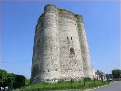 La haute tour d'un château fort est un donjon.