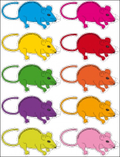 Quelle est la couleur de la souris de la comptine ?