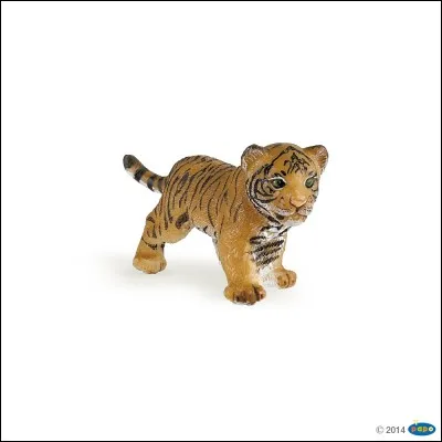 Quel est ce b&eacute;b&eacute; animal ?