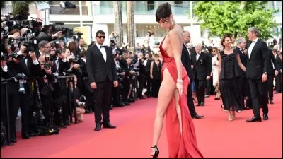 Je suis connu pour mon célèbre festival au tapis rouge.