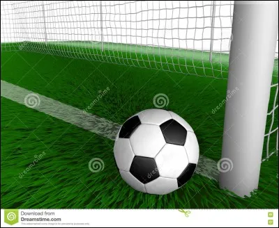 Dommage que le ballon ait touché le _____ droit.