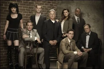 Quel est le nom de cette série policière ?