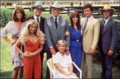 Quel est le nom de cette série des années 80 ?