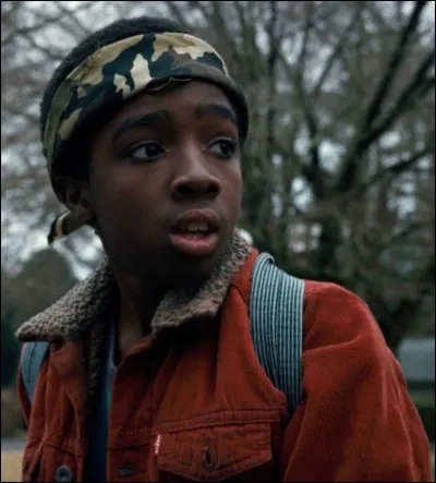 Quel âge a l'acteur qui interprète Lucas ? (février 2018)