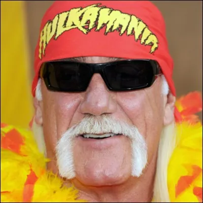 Quel est le deuxième métier de Hulk Hogan ?