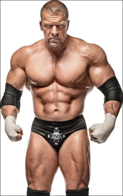 Quel est le rôle de Triple H ?