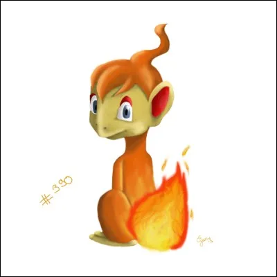 Les deux starters qui l'accompagnent sont...