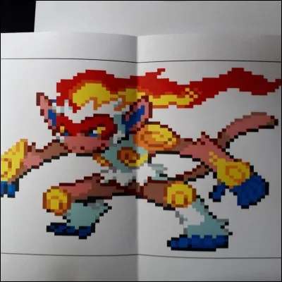 Le nom de son évolution est...