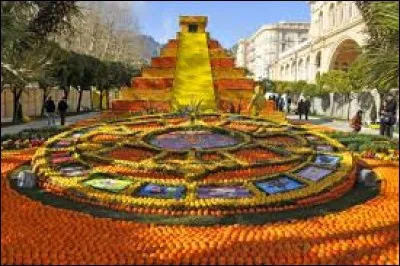 "Les Grandes Civilisations" fut le thème de l'année 2011. Vrai ou faux ?