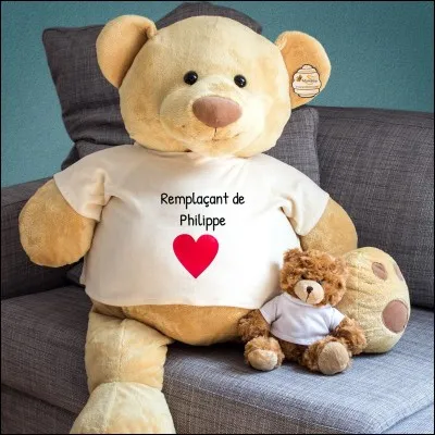 De ces quatre ursidés, l'un est essentiellement carnivore !