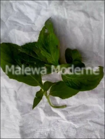 Laquelle de ces recettes n'est pas un pondu fermenté (ya ko pola) ?