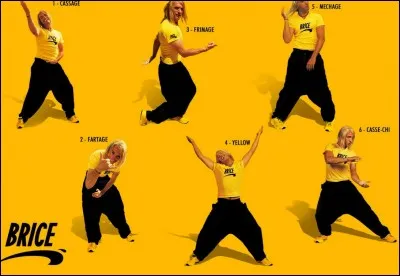 Il n'y a pas eu de "Brice 2" mais un "Brice 3".