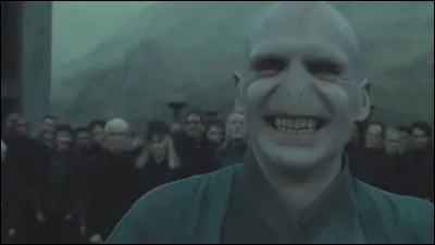 Voldemort revient !