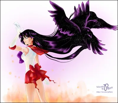 Comment s'appelle les corbeaux de Rei ?