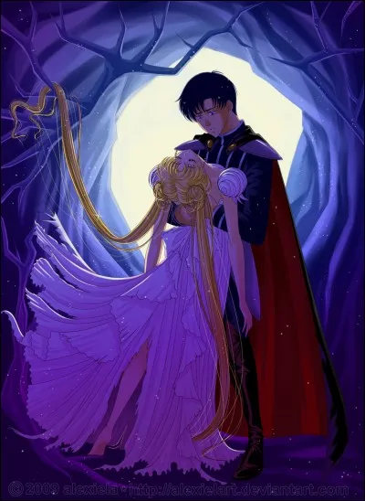 Qui est l'amoureux de Sailor Moon ?