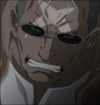 D'où vient la cicatrice sur le front de Scar ?