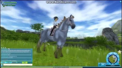 Ce cheval a un petit plus par rapport aux autres chevaux. C'est le...