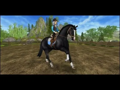 Ce cheval est très élégant notamment dans les épreuves de dressage. C'est le/l'...