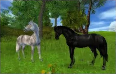 Ce cheval est "neutre" au niveau des allures et des "figures". C'est le...