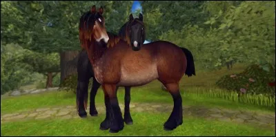 Ce cheval est le troisième à être adapté au froid. C'est le...