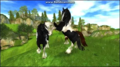 Ce cheval fait aussi partie des plus vieux du jeu. C'est le...