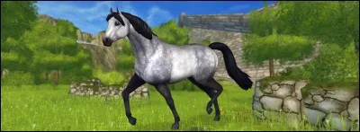 Ce cheval a été créé par l'équipe de "Star Stable" récemment. C'est le...