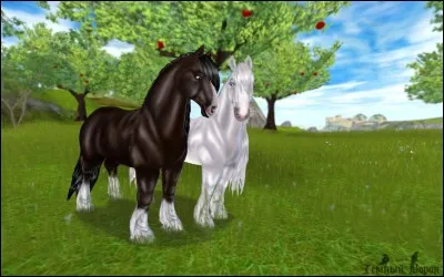Ce cheval fait partie des plus grands du jeu. C'est le/l'...