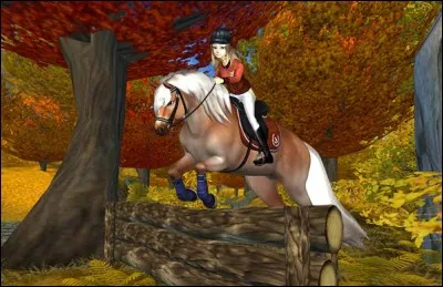 Ce cheval est aussi adapté au froid. C'est le...