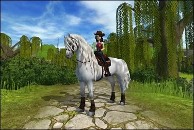 Ce cheval ressemble fortement au frison. C'est le...