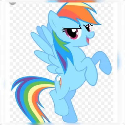 Quel est le rêve de Rainbow Dash ?