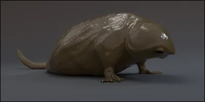 Comment Dustin nomme-t-il la petite bête qu'il trouve dans sa poubelle le soir d'Halloween ?