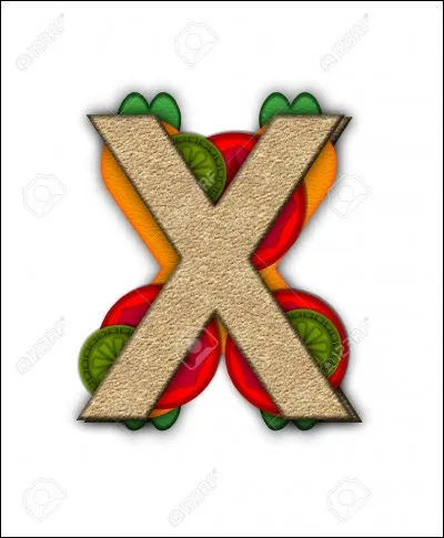 Lequel de ces mots ne se termine pas par "x" au pluriel ?