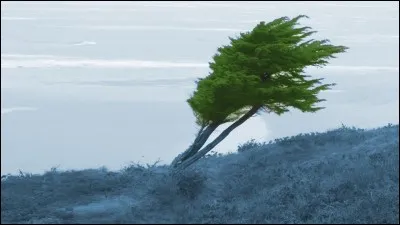 Lequel de ces noms de vent est mal écrit ?