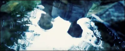 De quel MV provient cette image ?