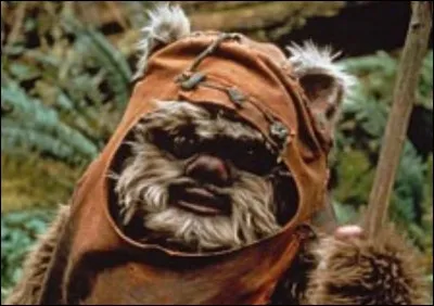 Qui est ce soldat trop mignon ?