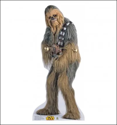 Quel est le surnom de Chewbacca, dans la VF de l'épisode IV ?