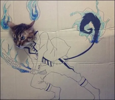 Qui est Cur de Feu ?