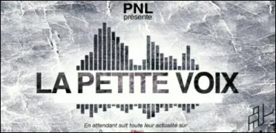 Comment se nomme l'acteur dans le clip "La Petite voix" ?