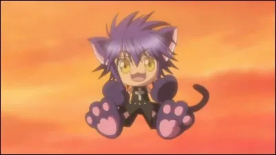 Quel est le nom de son Shugo Chara ?