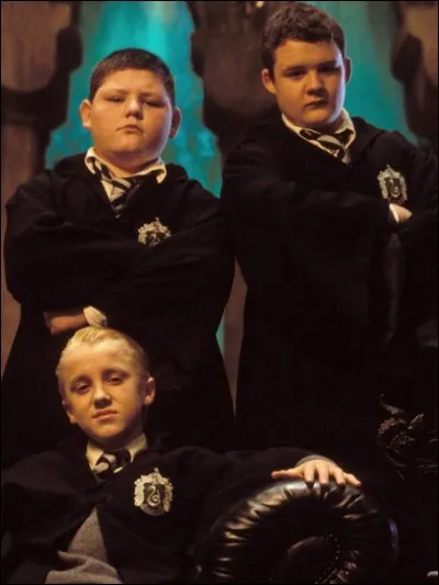 Comment s'appellent les amis de Drago Malefoy ?