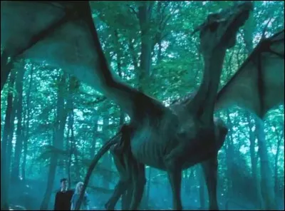 Quelles créatures sont vues seulement par Luna et Harry ?