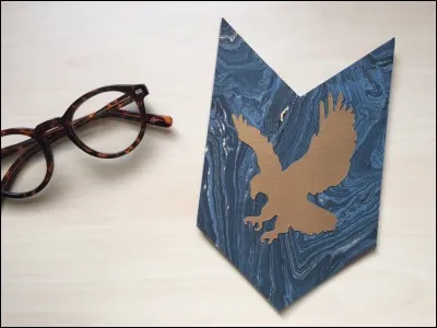 Pour entrer dans leur salle commune, il faut...