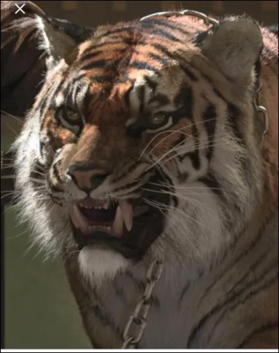 Comment s'appelle-t-il ?