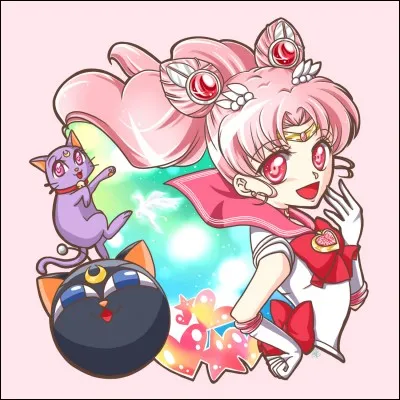 Comment s'appelle la peluche de Chibiusa ?