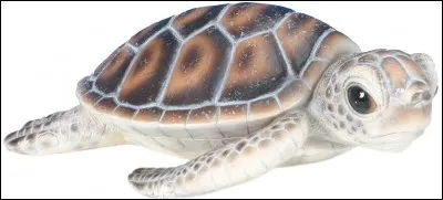 Combien êtes-vous dans la maison ?