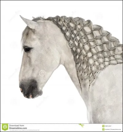 Quel est le caractère de vos enfants ?