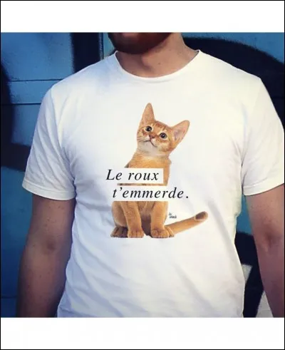 Petit cadeau pour vous remercier d'avoir tenu 10 questions. C'est par une comédie musicale qu'il s'est fait connaître, puis il a continé seul, sous le vent, à descendre la rivière de notre enfance.