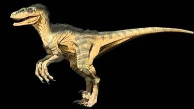 Quel est le plus grand des Dromaeosaures, également appelé Raptor ?