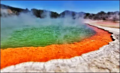 Rotorua est une ville situ&eacute;e en :