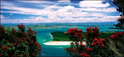 Où aurez-vous la chance de voir la ville nommée Tauranga ?